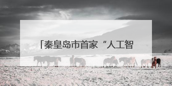 秦皇岛市首家“人工智能专业孵化器”揭牌