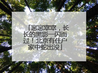 窸窸窣窣，长长的黑影一闪而过！北京有住户家中蛇出没