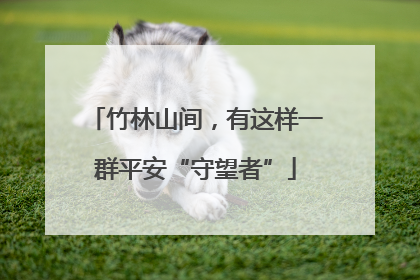 竹林山间，有这样一群平安“守望者”