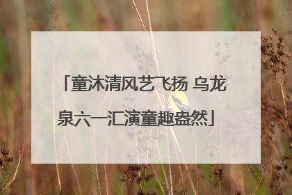 童沐清风艺飞扬 乌龙泉六一汇演童趣盎然