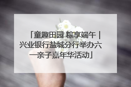 童趣田园 粽享端午｜兴业银行盐城分行举办六一亲子嘉年华活动
