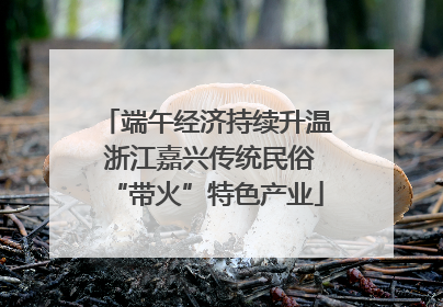 端午经济持续升温 浙江嘉兴传统民俗“带火”特色产业