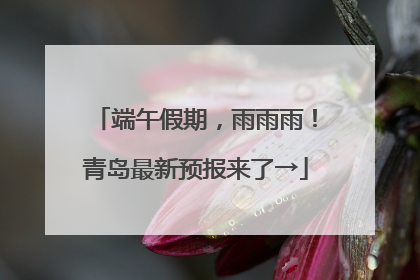 端午假期，雨雨雨！青岛最新预报来了→