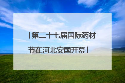 第二十七届国际药材节在河北安国开幕