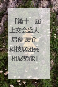 第十一届上交会盛大启幕 厦企科技展团亮相展势能