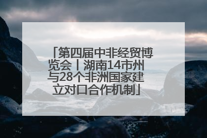 第四届中非经贸博览会丨湖南14市州与28个非洲国家建立对口合作机制