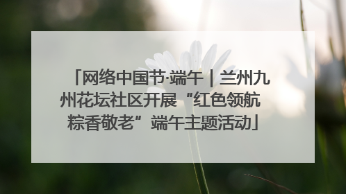 网络中国节·端午｜兰州九州花坛社区开展“红色领航 粽香敬老”端午主题活动