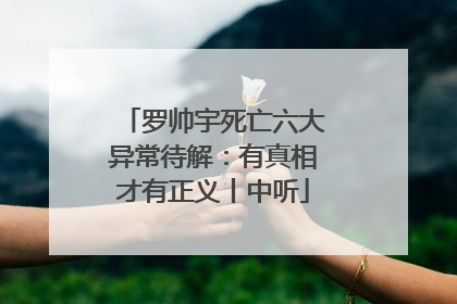 罗帅宇死亡六大异常待解：有真相才有正义丨中听