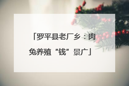 罗平县老厂乡：肉兔养殖“钱”景广