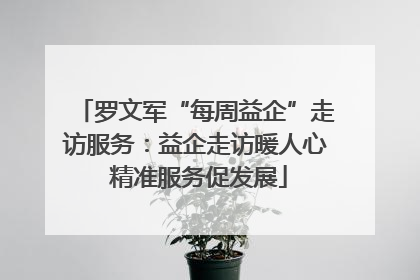 罗文军“每周益企”走访服务：益企走访暖人心 精准服务促发展