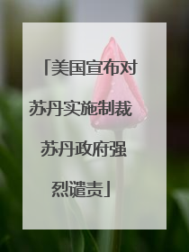 美国宣布对苏丹实施制裁 苏丹政府强烈谴责