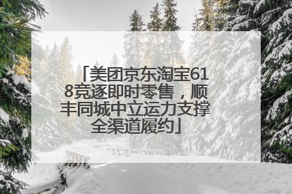 美团京东淘宝618竞逐即时零售，顺丰同城中立运力支撑全渠道履约
