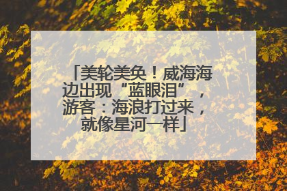 美轮美奂！威海海边出现“蓝眼泪”，游客：海浪打过来，就像星河一样