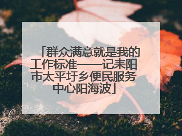 群众满意就是我的工作标准——记耒阳市太平圩乡便民服务中心阳海波