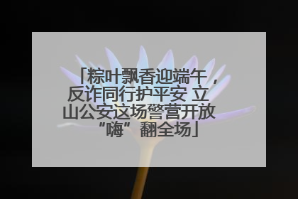 粽叶飘香迎端午，反诈同行护平安 立山公安这场警营开放“嗨”翻全场