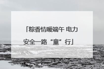 粽香情暖端午 电力安全一路“童”行