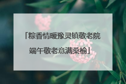 粽香情暖豫灵镇敬老院 端午敬老意满桑榆