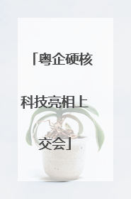 粤企硬核科技亮相上交会
