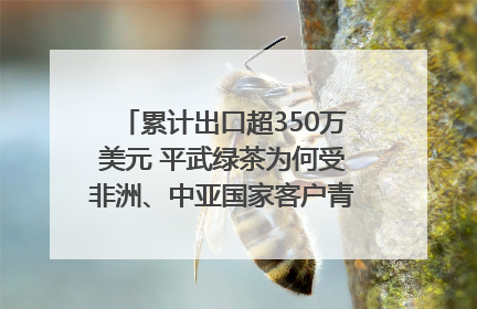 累计出口超350万美元 平武绿茶为何受非洲、中亚国家客户青睐？｜发布会观察