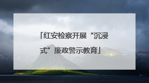 红安检察开展“沉浸式”廉政警示教育