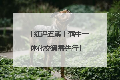 红评五溪丨鹤中一体化交通需先行