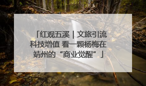 红观五溪｜文旅引流 科技增值 看一颗杨梅在靖州的“商业觉醒”