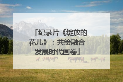 纪录片《绽放的花儿》：共绘融合发展时代画卷