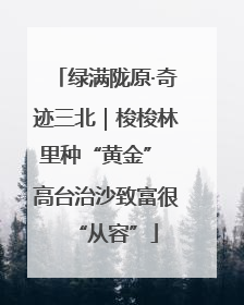 绿满陇原·奇迹三北｜梭梭林里种“黄金” 高台治沙致富很“从容”