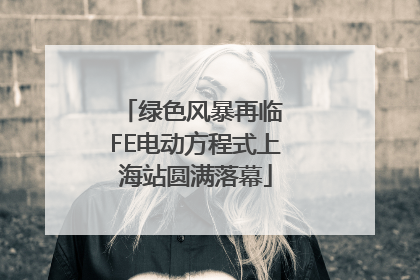 绿色风暴再临 FE电动方程式上海站圆满落幕