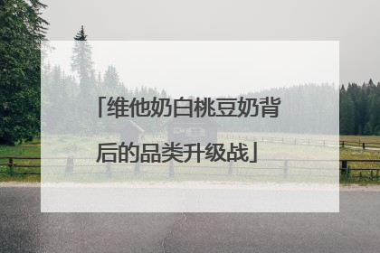 维他奶白桃豆奶背后的品类升级战