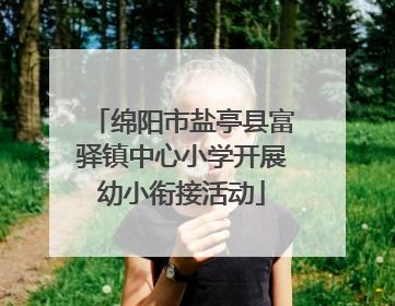 绵阳市盐亭县富驿镇中心小学开展幼小衔接活动