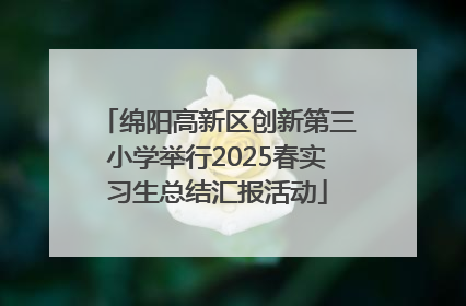 绵阳高新区创新第三小学举行2025春实习生总结汇报活动