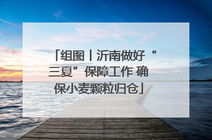 组图丨沂南做好“三夏”保障工作 确保小麦颗粒归仓