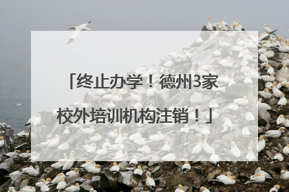 终止办学！德州3家校外培训机构注销！