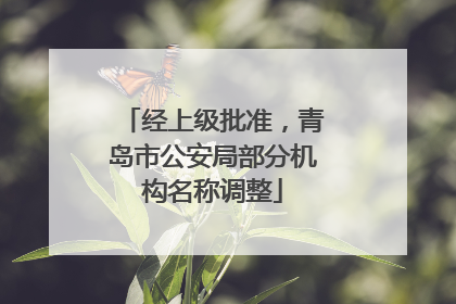经上级批准，青岛市公安局部分机构名称调整