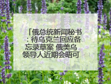 俄总统新闻秘书：待乌克兰回应备忘录草案 俄美乌领导人近期会晤可能性小