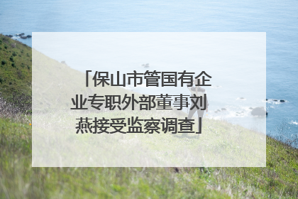 保山市管国有企业专职外部董事刘燕接受监察调查