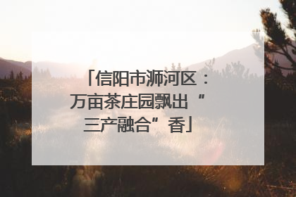 信阳市浉河区：万亩茶庄园飘出“三产融合”香