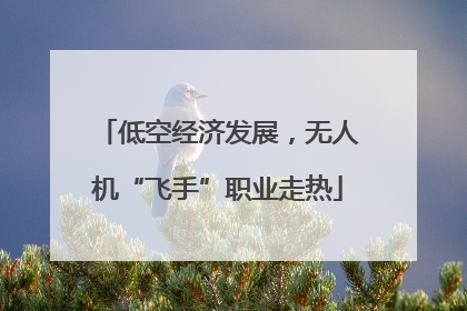 低空经济发展，无人机“飞手”职业走热
