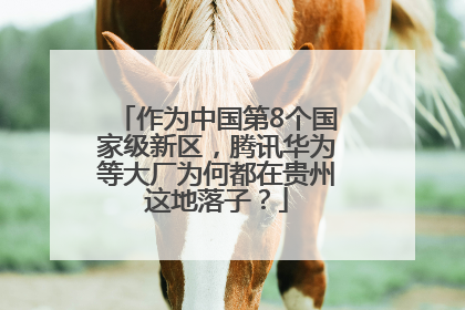 作为中国第8个国家级新区，腾讯华为等大厂为何都在贵州这地落子？