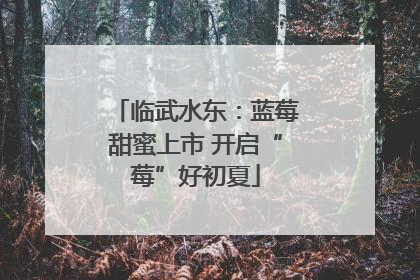 临武水东：蓝莓甜蜜上市 开启“莓”好初夏