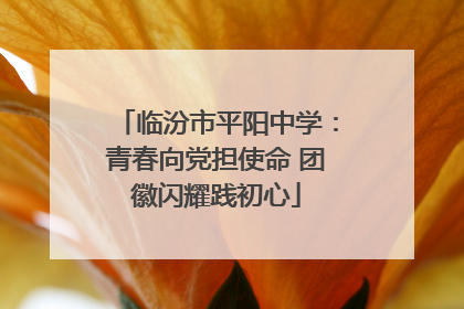 临汾市平阳中学：青春向党担使命 团徽闪耀践初心