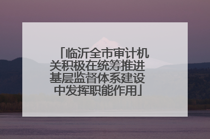 临沂全市审计机关积极在统筹推进基层监督体系建设中发挥职能作用