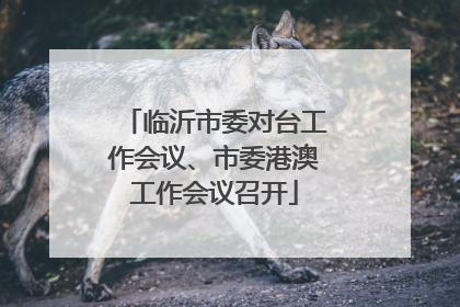 临沂市委对台工作会议、市委港澳工作会议召开