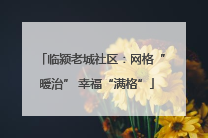 临颍老城社区：网格“暖治” 幸福“满格”