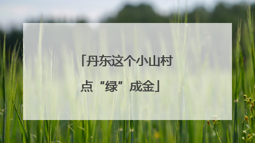 丹东这个小山村点“绿”成金