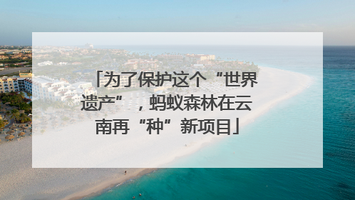 为了保护这个“世界遗产”，蚂蚁森林在云南再“种”新项目