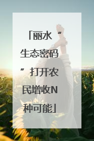 丽水“生态密码”打开农民增收N种可能