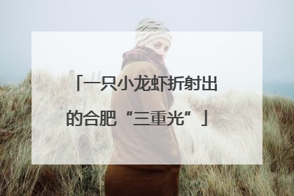 一只小龙虾折射出的合肥“三重光”