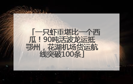 一只虾重堪比一个西瓜！90吨活波龙运抵鄂州，花湖机场货运航线突破100条